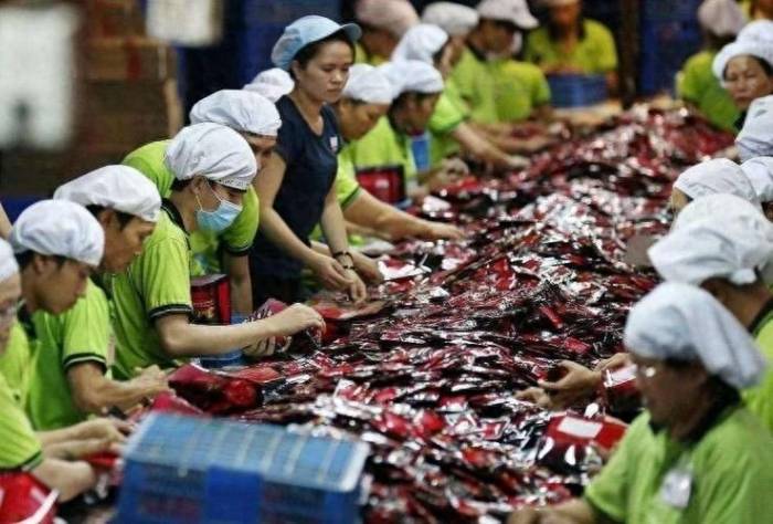 Asia's Manufacturing Crisis: Vietnam Down 8%, India Down 10%